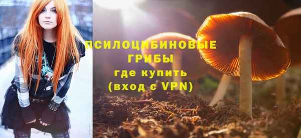 мяу мяу мука Алзамай