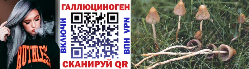 Псилоцибиновые грибы мухоморы  Кропоткин 